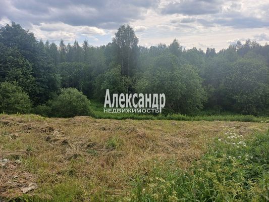 Объект по адресу Ленинградская обл, Приозерский р-н, Пятиречье п, Березовая ул