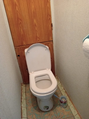 Объект по адресу Московская обл, Раменский р-н, Бритово д, Свободы ул, д. 8