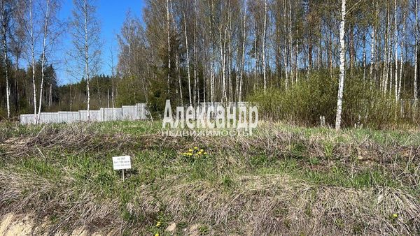 Объект по адресу Ленинградская обл, Всеволожский р-н, Марс снт, 4-й уч-к