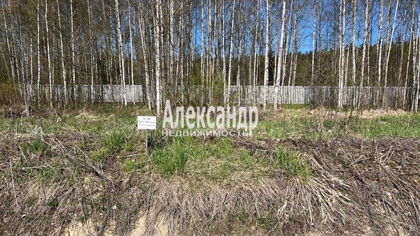 Объект по адресу Ленинградская обл, Всеволожский р-н, Марс снт, 4-й уч-к