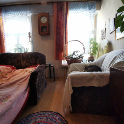 Объект по адресу Санкт-Петербург г, Римского-Корсакова пр-кт, д. 31