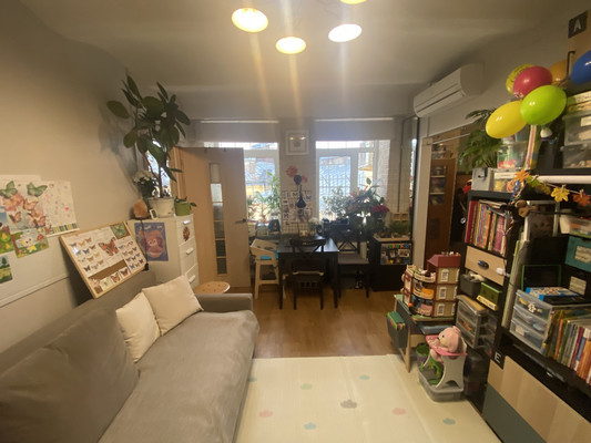 Объект по адресу Санкт-Петербург г, Кронверкская ул, д. 14