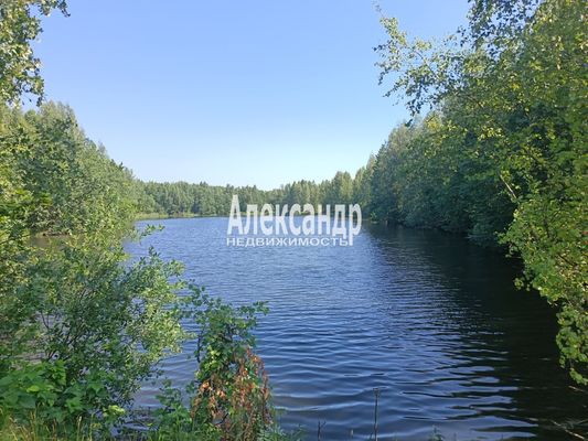 Объект по адресу Ленинградская обл, Всеволожский р-н, Черная Речка мкр, 15-я линия, д. 379