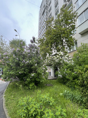 Объект по адресу Москва г, Шмитовский проезд, д. 24