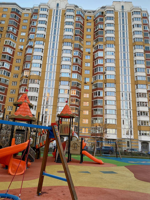 Объект по адресу Москва г, Троицк р-н, Пенино д, Московская ул, д. 1