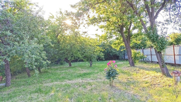 Объект по адресу Краснодарский край, КНИИСХ снт, Абрикосовая ул, д. 282