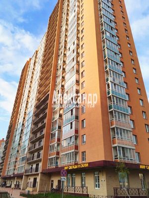 Объект по адресу Ленинградская обл, Всеволожский р-н, Авиаторов Балтики пр-кт, д. 15