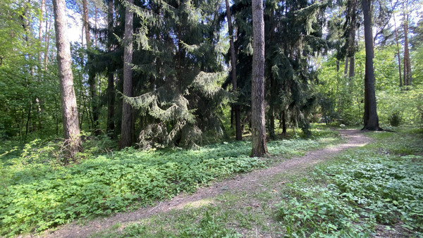 Объект по адресу Московская обл, Кратово дп, Комиссарова ул, д. 36