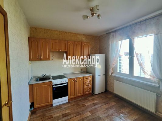 Объект по адресу Санкт-Петербург г, Коллонтай ул, д. 5/1