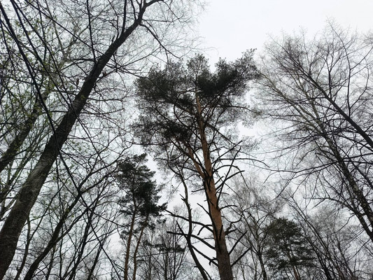 Объект по адресу Москва, Прудки д, 317 