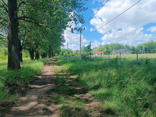 Объект по адресу Краснодарский край, Белореченский р-н, Родники п, Мира ул