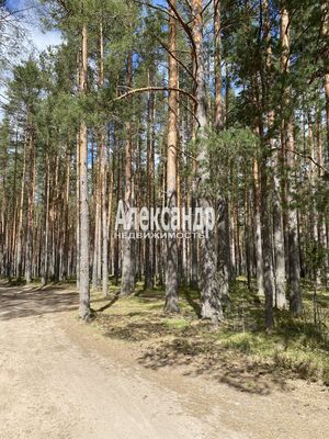 Объект по адресу Ленинградская обл, Приозерский р-н, Лесная ул