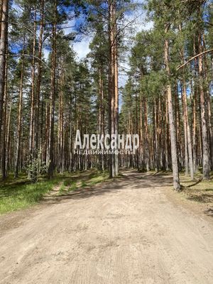 Объект по адресу Ленинградская обл, Приозерский р-н, Лесная ул