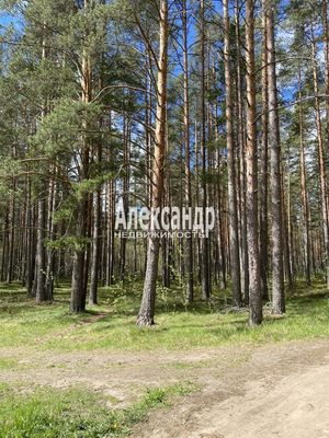 Объект по адресу Ленинградская обл, Приозерский р-н, Лесная ул