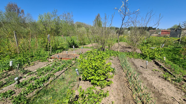 Объект по адресу Москва, Новое Калище д 