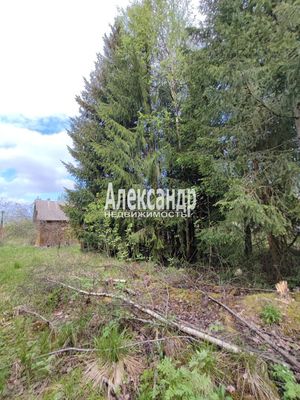 Объект по адресу Москва, ЛОС тер. СНТ, 413 