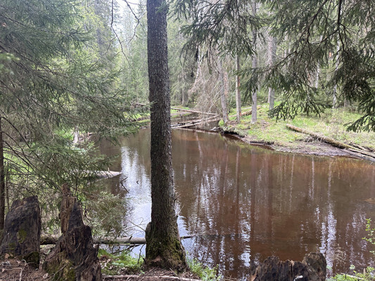 Объект по адресу Ленинградская обл, Выборгский р-н, Огоньки п, Мельничная ул