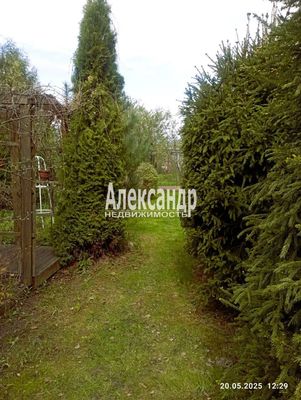 Объект по адресу Ленинградская обл, Выборгский р-н, 6-я Линия ул