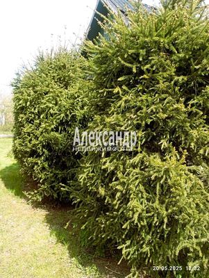 Объект по адресу Ленинградская обл, Выборгский р-н, 6-я Линия ул