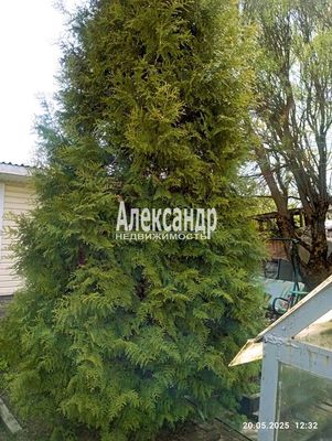 Объект по адресу Ленинградская обл, Выборгский р-н, 6-я Линия ул