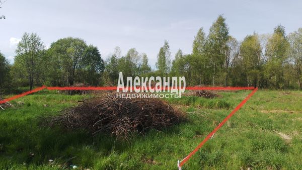 Объект по адресу Москва, Ромашки п 