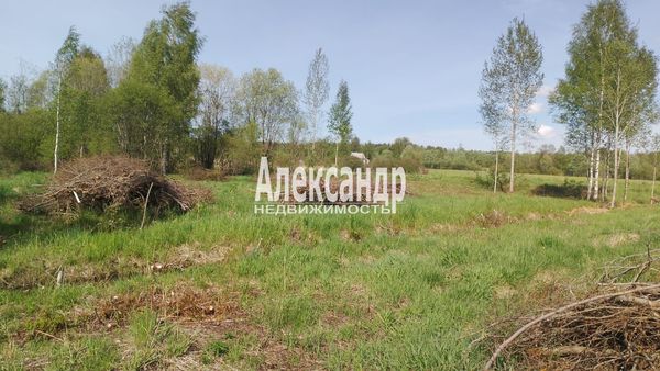 Объект по адресу Москва, Ромашки п 