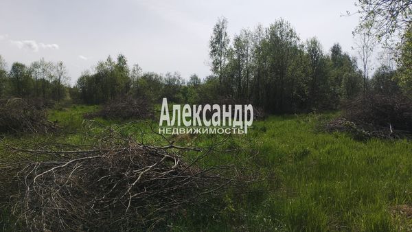 Объект по адресу Москва, Ромашки п 