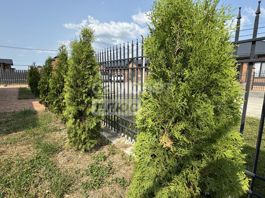 Объект по адресу Краснодарский край, Красноармейский р-н, Трудобеликовский х, Школьная ул