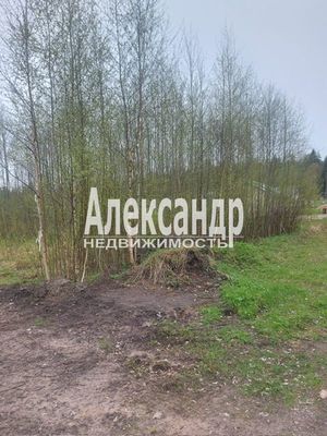 Объект по адресу Москва, Большое Поле п 