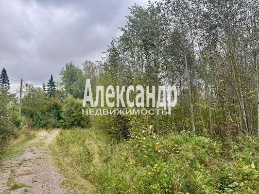 Объект по адресу Москва, Большое Поле п 