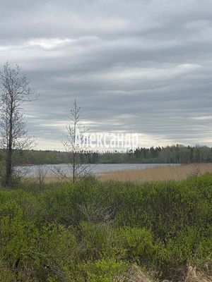 Объект по адресу Москва, Никифоровское п 