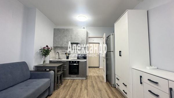 Объект по адресу Санкт-Петербург, Муринская дор, 27к3 