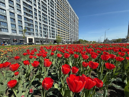 Объект по адресу Москва, Серебрякова проезд, 11к2 