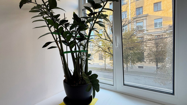 Объект по адресу Санкт-Петербург г, 5-я Советская ул, д. 28