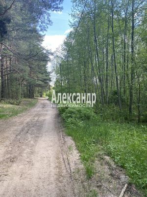 Объект по адресу Москва, Садовая ул 