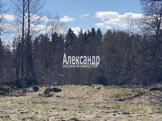 Объект по адресу Москва, Хвойное д 