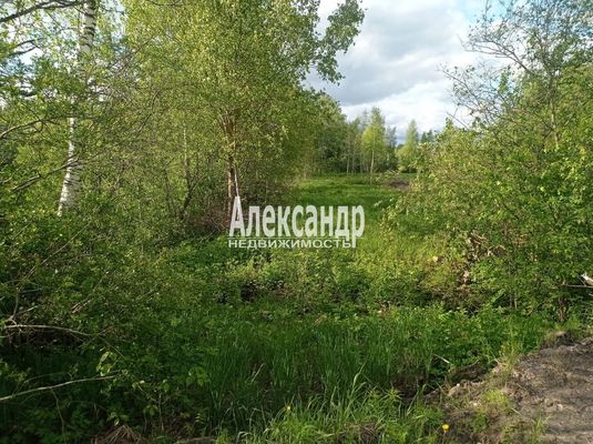 Объект по адресу Москва, Ромашки п 