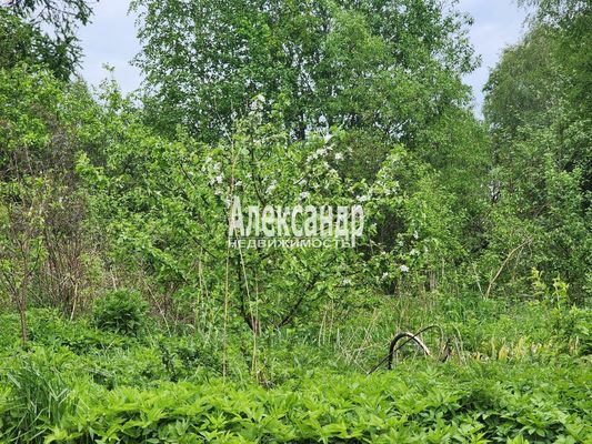 Объект по адресу Ленинградская обл, Приозерский р-н, Сосново п, Связи ул