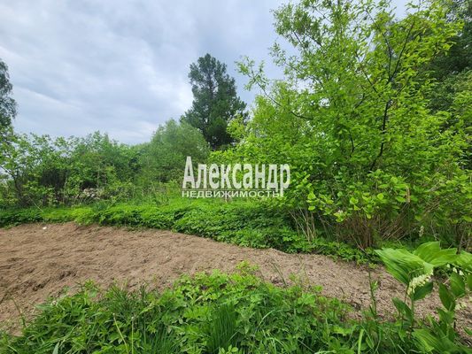 Объект по адресу Ленинградская обл, Приозерский р-н, Сосново п, Связи ул