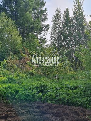 Объект по адресу Ленинградская обл, Приозерский р-н, Сосново п, Связи ул