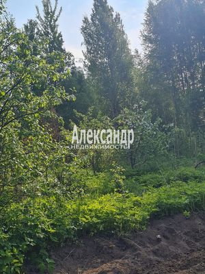 Объект по адресу Ленинградская обл, Приозерский р-н, Сосново п, Связи ул