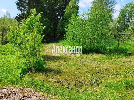 Объект по адресу Ленинградская обл, Выборгский р-н, Звонкий Ручей ул