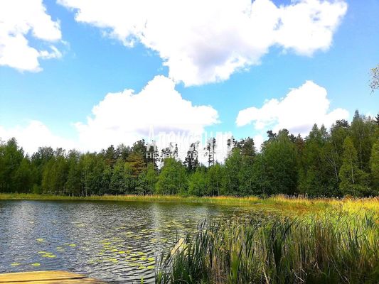 Объект по адресу Ленинградская обл, Приозерский р-н, Сосново п, Связи ул