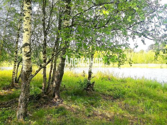 Объект по адресу Ленинградская обл, Приозерский р-н, Сосново п, Связи ул