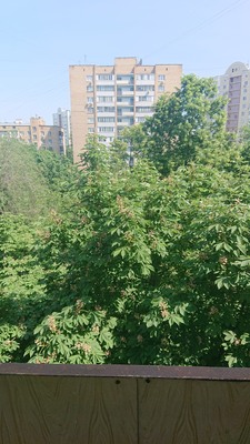 Объект по адресу Москва, 2-я Новоостанкинская ул, 15 