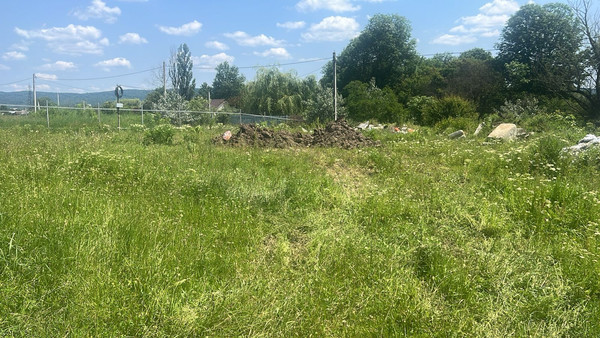 Объект по адресу Москва, Камышовая ул 