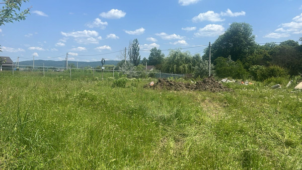 Объект по адресу Москва, Камышовая ул 