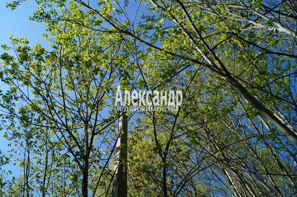 Объект по адресу Москва, Мыза д 