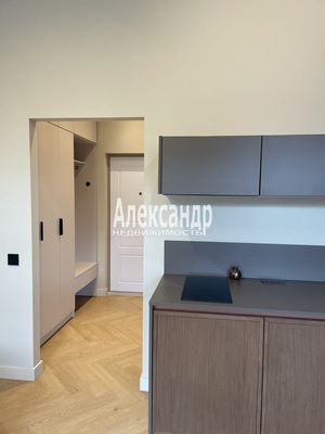 Объект по адресу Санкт-Петербург, Коли Томчака ул, 10 