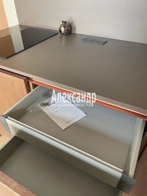 Объект по адресу Санкт-Петербург, Коли Томчака ул, 10 